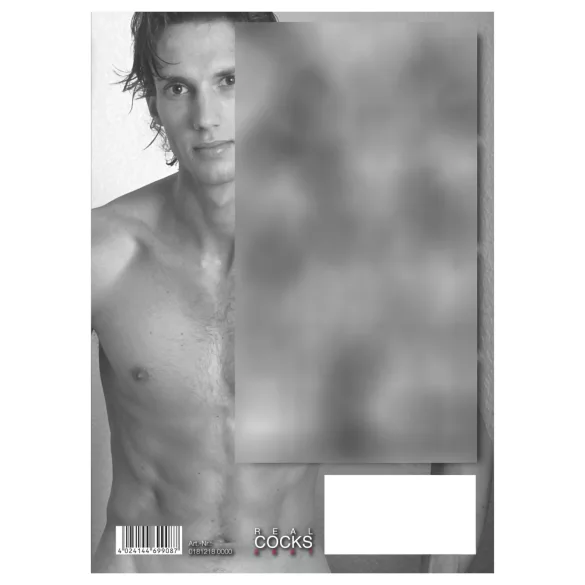 Real Cocks 2027 - calendário erótico de parede (1 unid.)