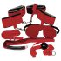 Bad Kitty - kit BDSM - vermelho