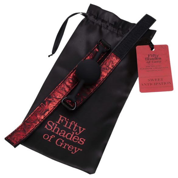 Fifty Shades of Grey - mordaça boca - couro preto e vermelho