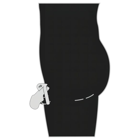 Fetish - gaiola peniana metálica - prata