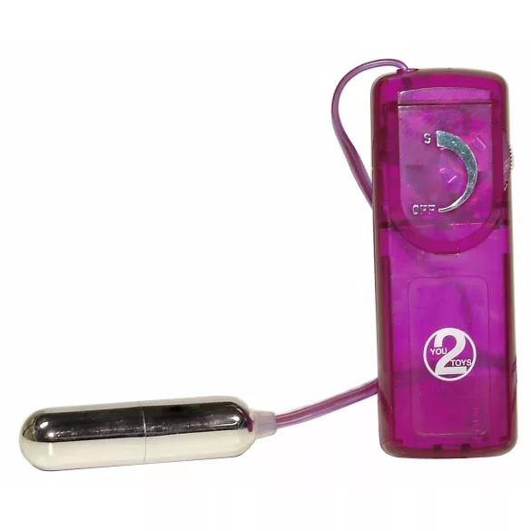 You2Toys - kit vibrador com acessórios - 12 peças