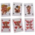 Kama Sutra - baralho erótico - 54 cartas