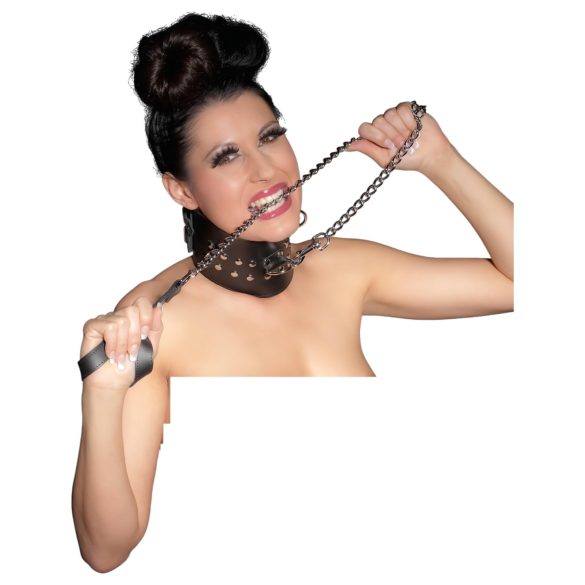 ZADO - coleira com guia metálica - prateado