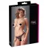 Cottelli - Tanga aberta com pérolas - renda preta - XL