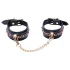 Bad Kitty - kit bondage 6 peças - preto