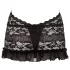 Cottelli - Vestido mini renda com colar - preto - XL