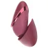 Womanizer Next Liberty - estimulador de clitóris por ondas de ar (vermelho)
