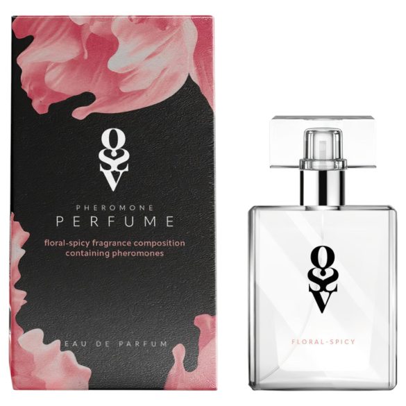 Obsessive Aloisa - kit lingerie presente - 6 peças - vermelho