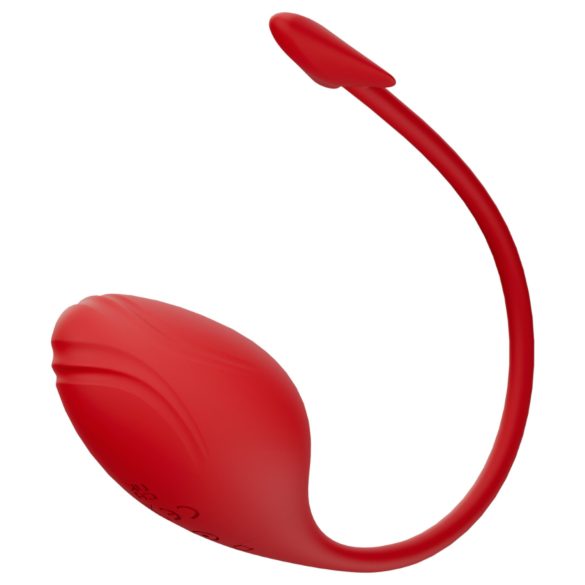 Funny Me - vibrador bullet com plug anal estimulador - silicone vermelho