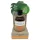 Coconutoil - óleo bronzeador natural - 80ml