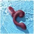 Magic Motion Magic Ponder - vibrador rabbit 2 em 1 - silicone bordô