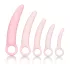 CalExotics Inspire - kit dilatador vaginal saúde íntima - silicone rosa