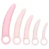 CalExotics Inspire - kit dilatador vaginal saúde íntima - silicone rosa