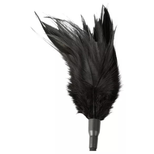 Sei Mio - chicote e pena estimuladora - preto