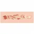 XKIN - masturbador de boca artificial realista - S (cor natural)