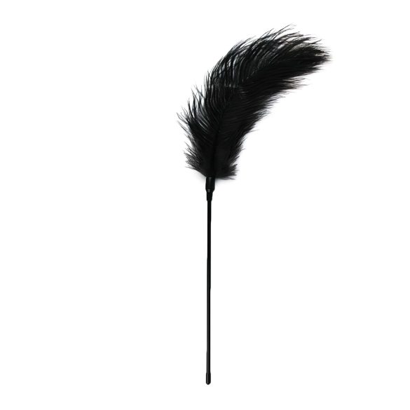 EasyToys - pluma de prazer longa - preto