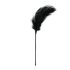 EasyToys - pluma de prazer longa - preto