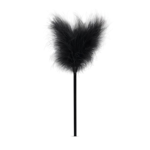 Secret Pleasure Chest - kit BDSM avançado - 14 peças - preto