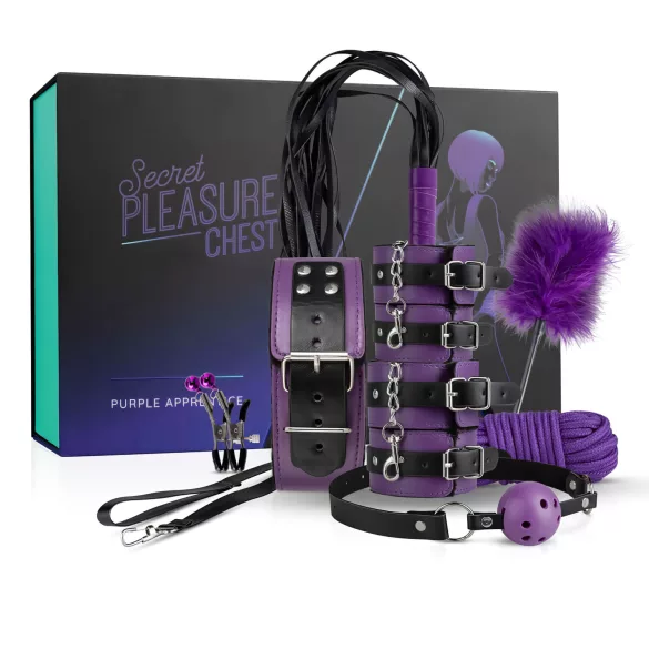 Secret Pleasure Chest - kit de BDSM avançado (14 peças)