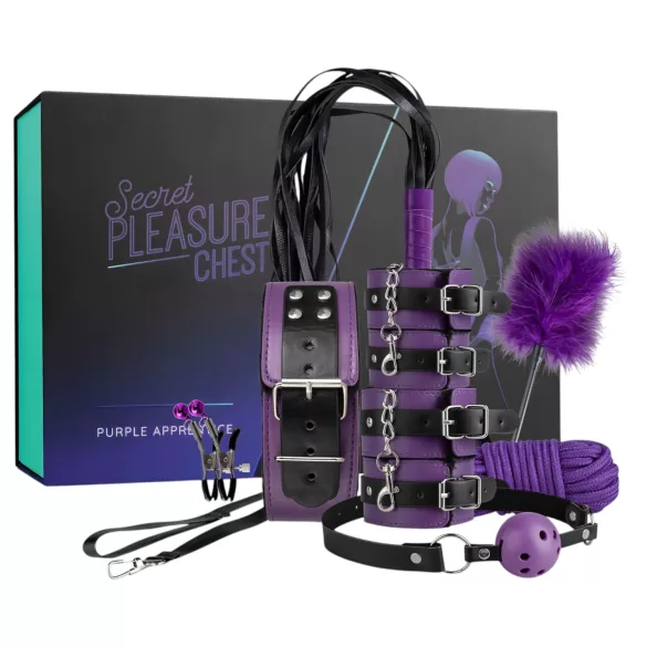 Secret Pleasure Chest - kit de BDSM avançado (14 peças)
