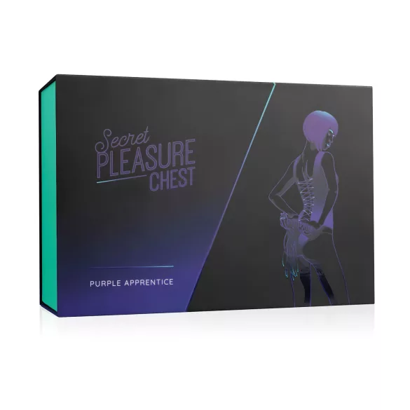 Secret Pleasure Chest - kit de BDSM avançado (14 peças)