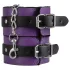 Secret Pleasure Chest - kit de BDSM avançado (14 peças)
