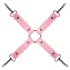 Baú de Prazer Secreto - kit BDSM avançado - 14 peças (rosa)