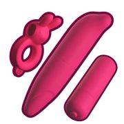 Conjunto de Vibradores